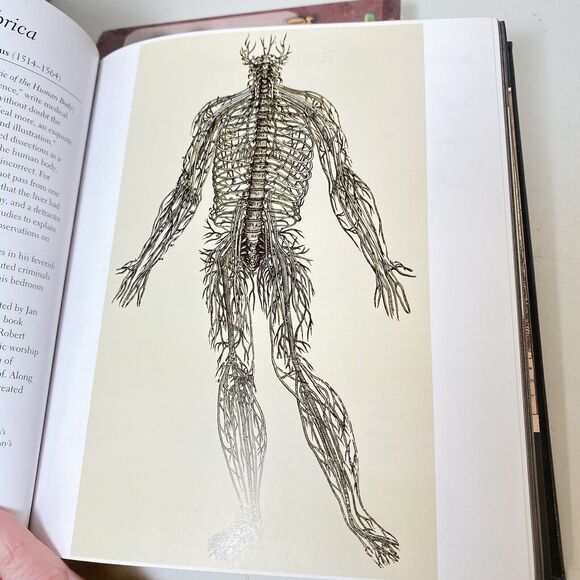 THE MEDICAL BOOK Brand New Clifford Pickover, Gold Gilt Pages Pristine Condition - Picture 10 of 12